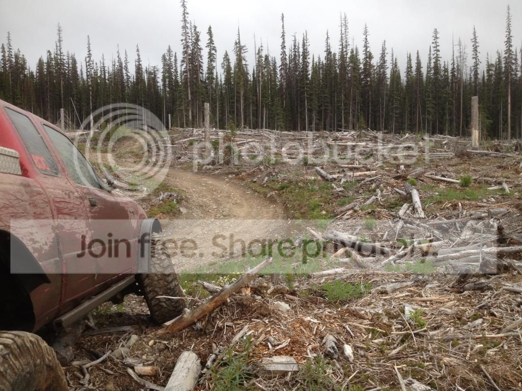 hockeyryans ranger build