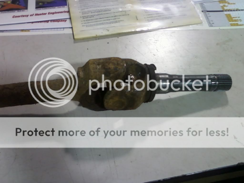 0203101503d.jpg