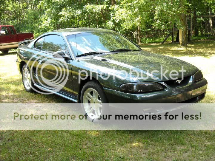 mustang2.jpg