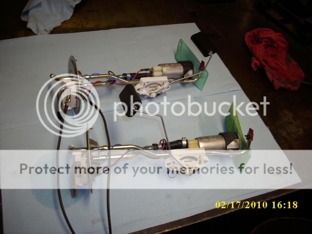 DSCI0159.jpg