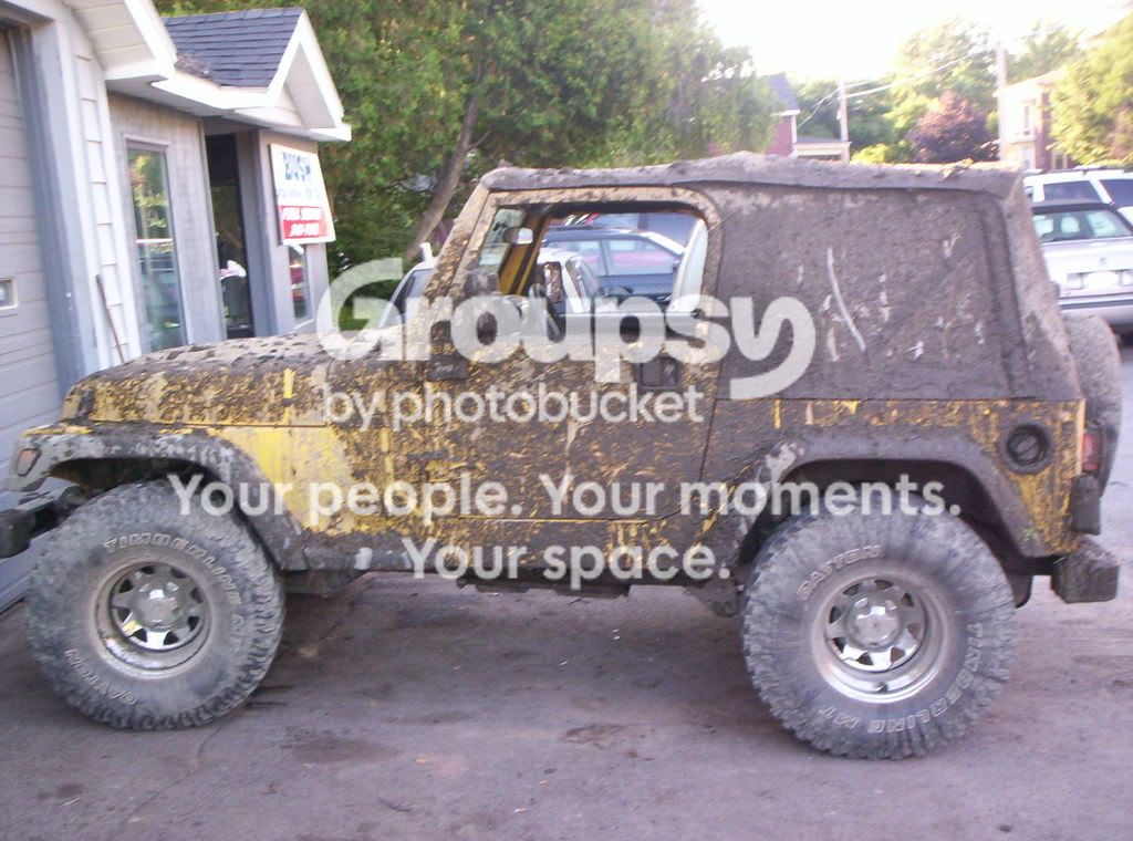 New to TRS but not to Rangers