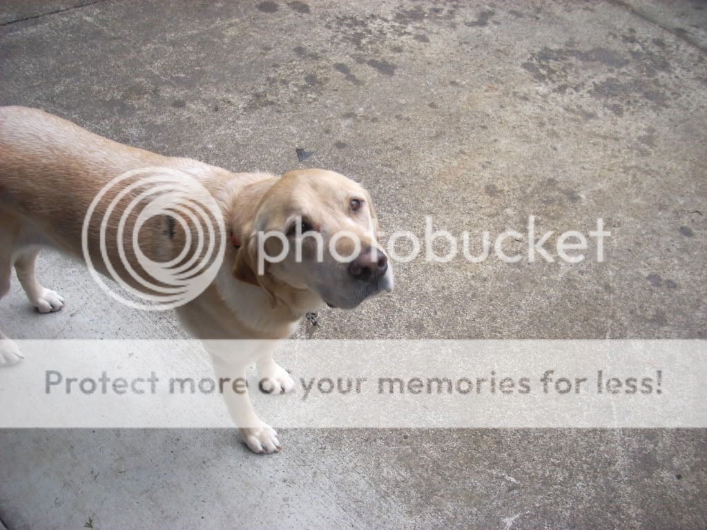 DSCN2173.jpg