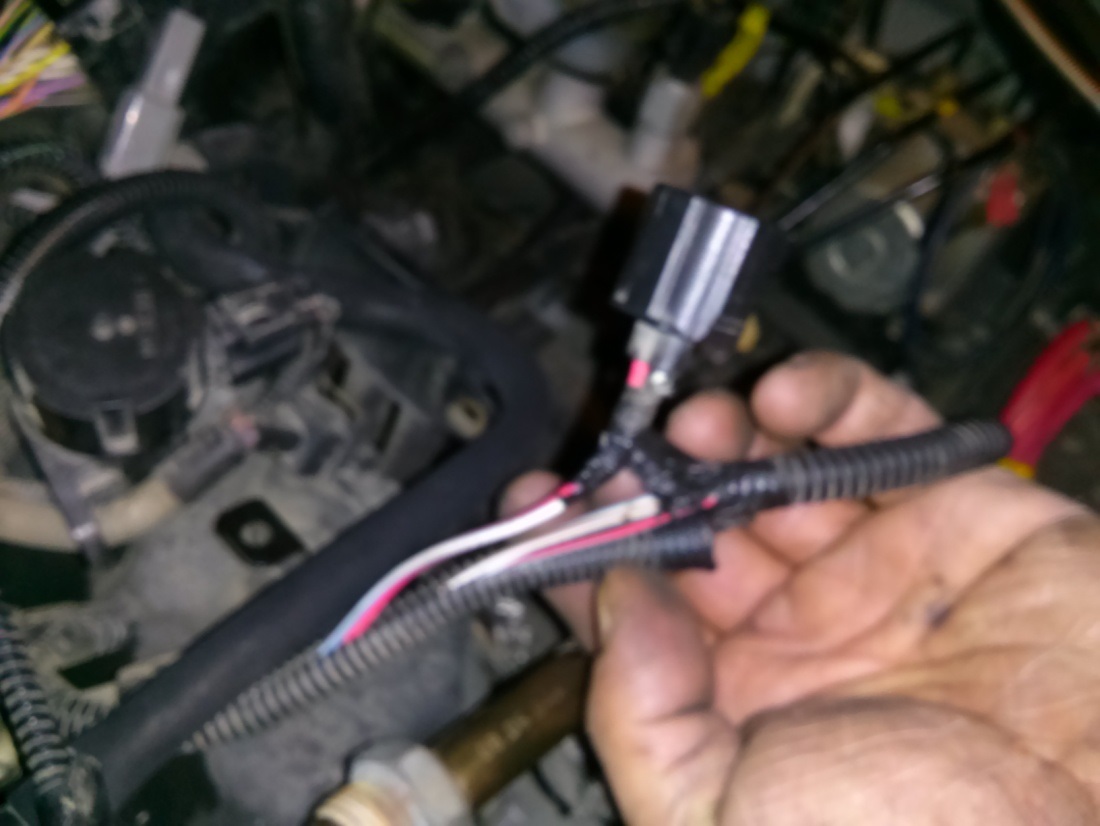 4LV6CologneInstall-75.jpg
