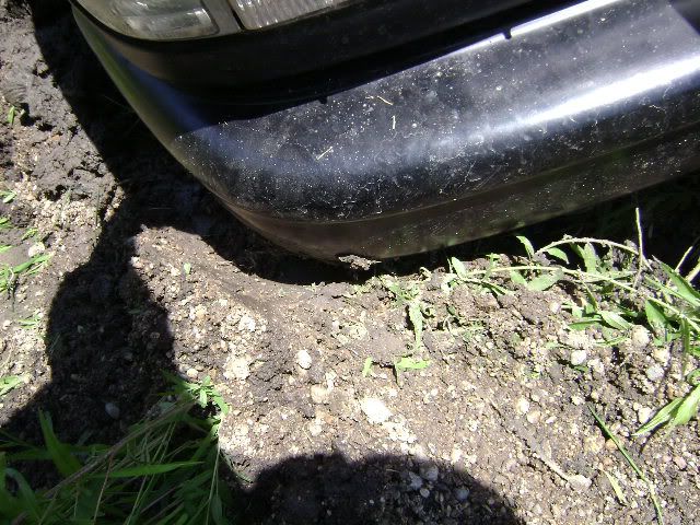 040.jpg