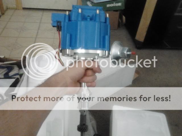 2012-06-13095208.jpg
