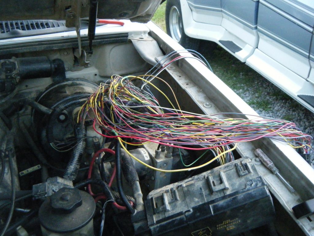 DSCF5627.jpg