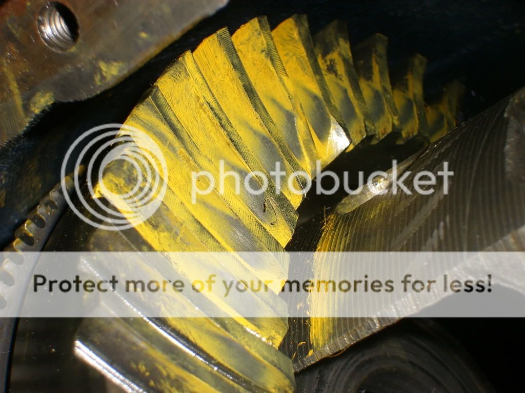 STP62078.jpg
