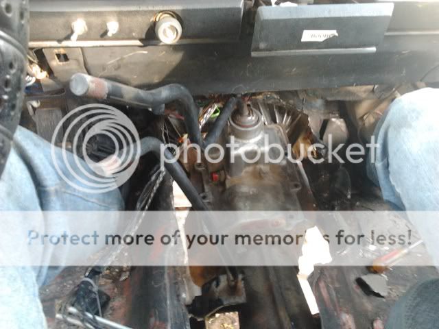 2012-08-10183529.jpg