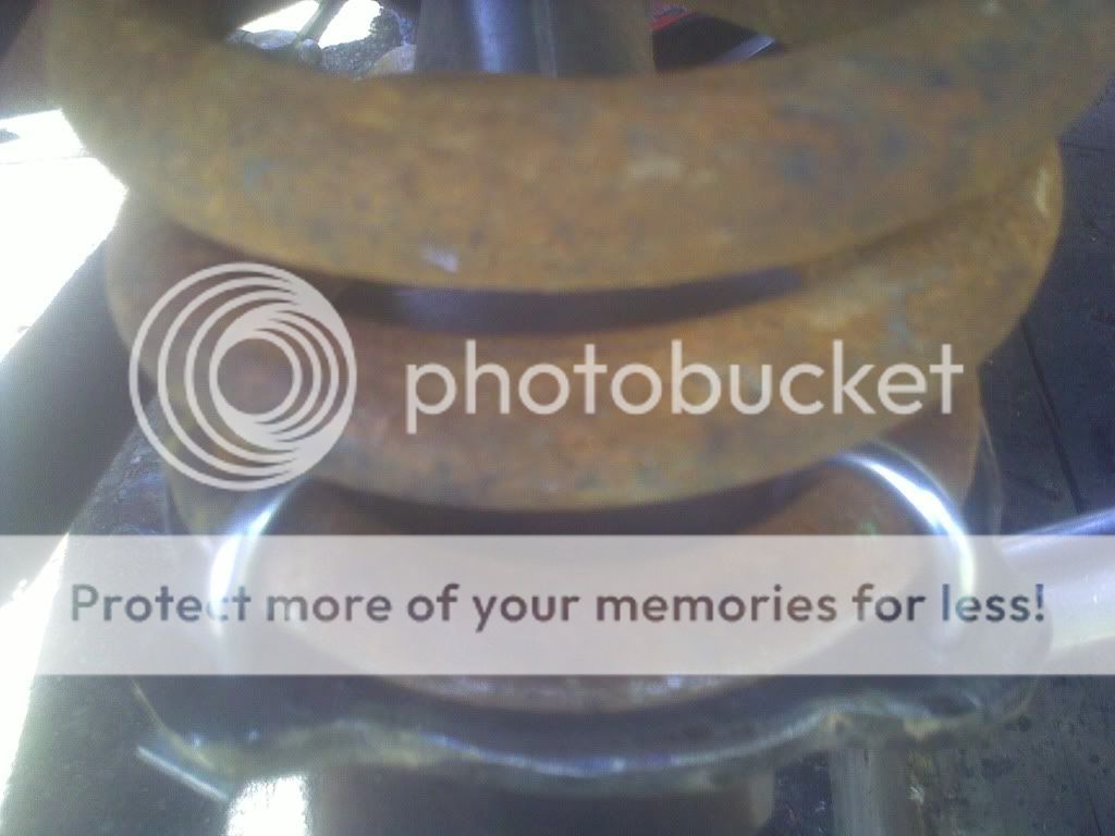 05042010360.jpg