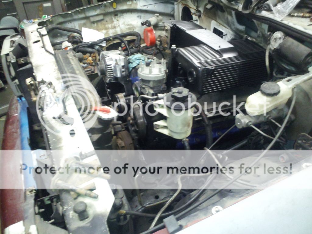 2012-11-18190727.jpg