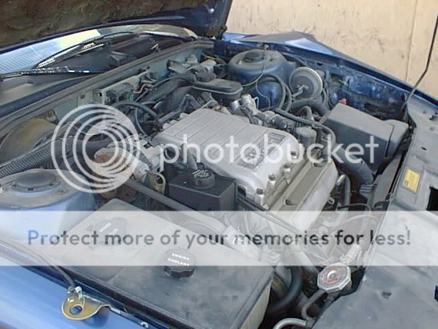 PIC00075-1.jpg