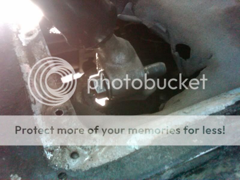 IMG00847-20110514-1001.jpg
