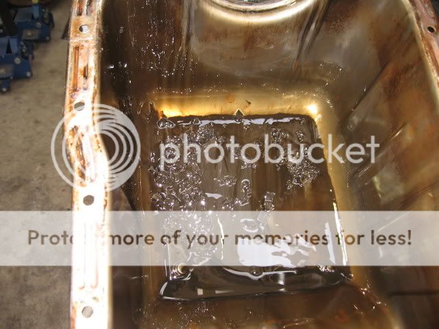 IMG_0898.jpg