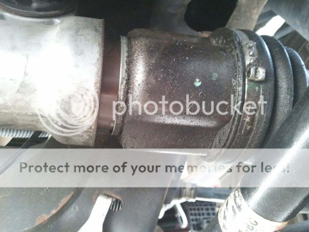 2011-08-15165845.jpg