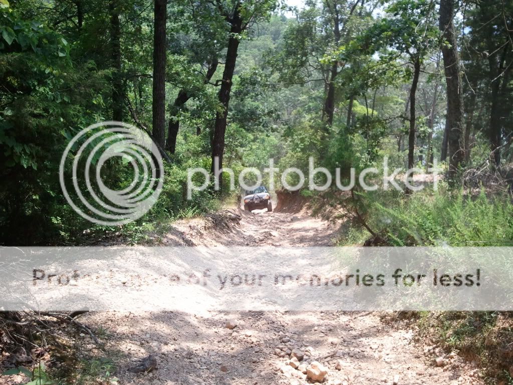 2011-06-11132336.jpg