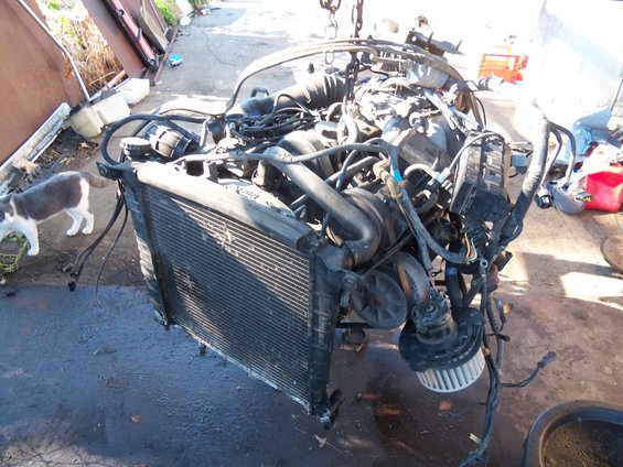 Huggyb1972's 87' Ranger 4x4 build