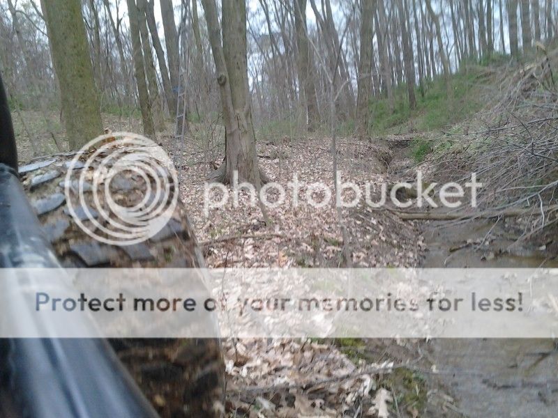 BuggyandRanger204.jpg