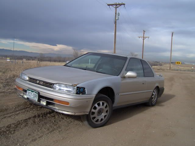 flex6.jpg
