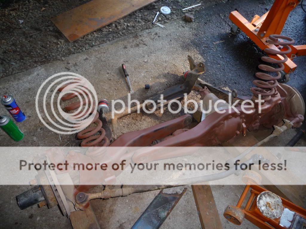 ShanePics2010-ishpart21090.jpg