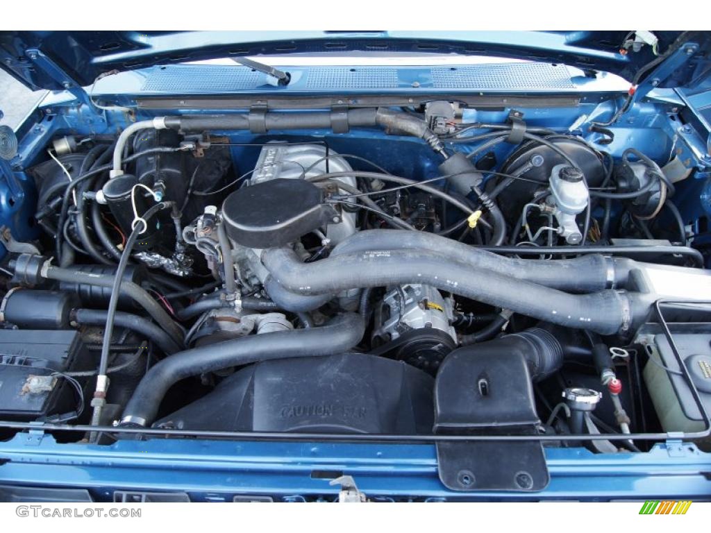 45351690.jpg