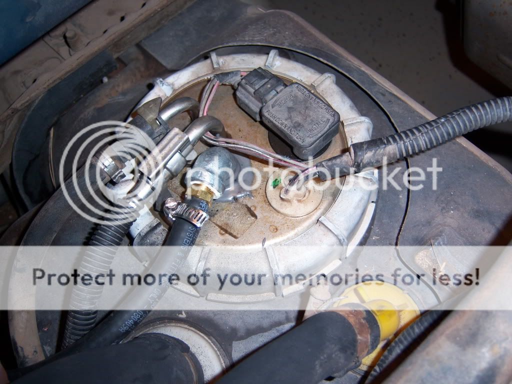 100_8585.jpg