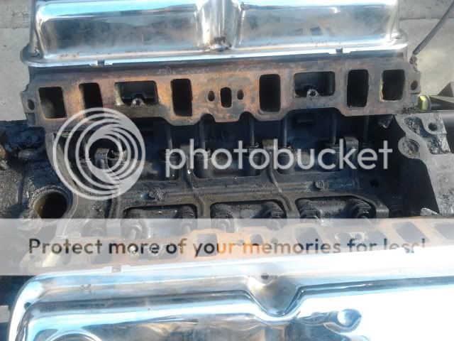 2012-02-28140315.jpg