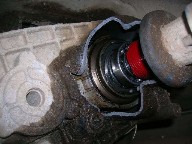 bw1350carnagepics004.jpg