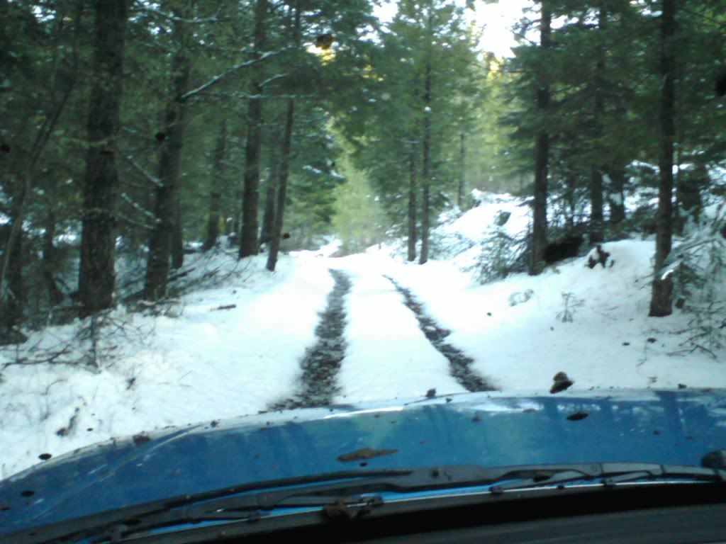 img_0505.jpg