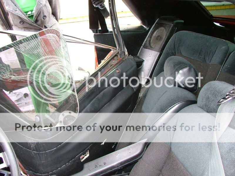 mustang032.jpg
