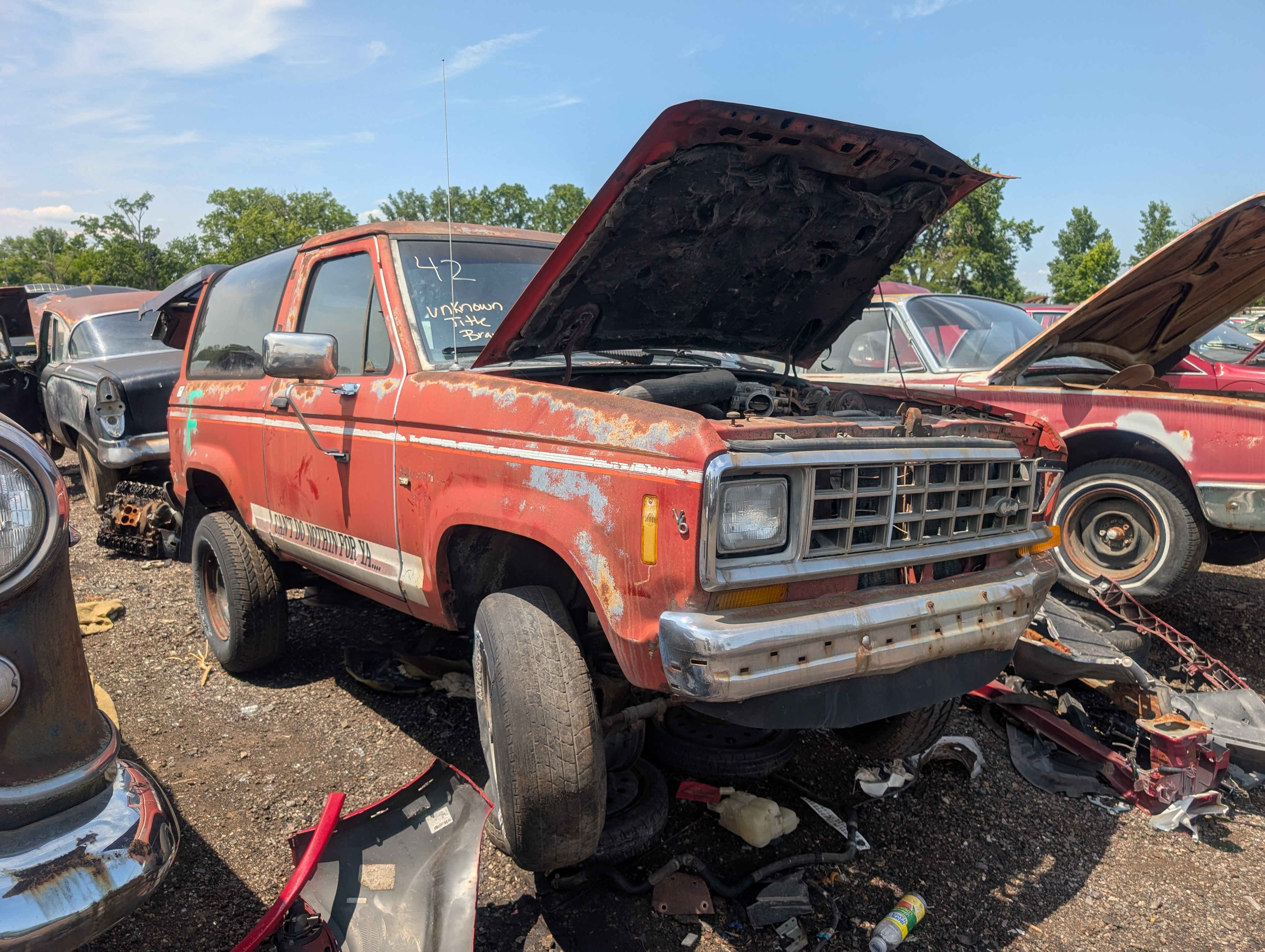 Detroit-area Junkyard Rangers - extremely pic-heavy
