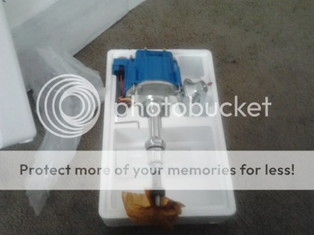 2012-06-13094959.jpg