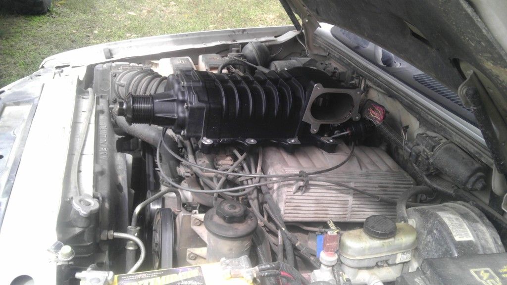 IMAG0504.jpg