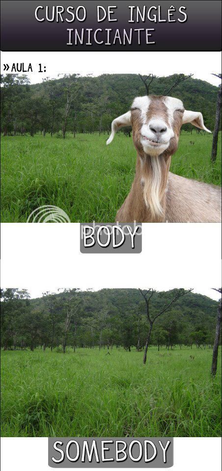 Body.jpg