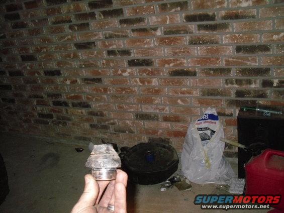 sdc17693.jpg