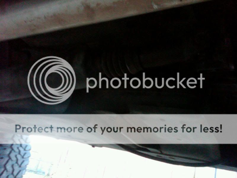 IMG00426-20101013-1750.jpg