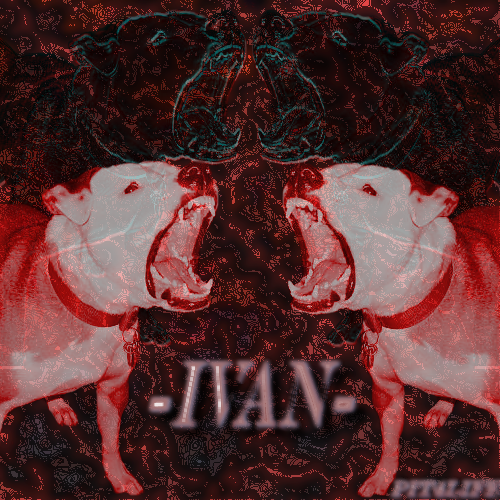 -Ivan-.png