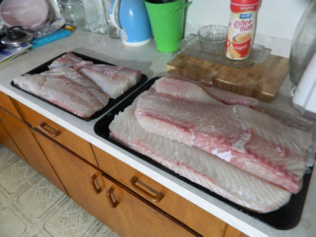 fishin015.jpg