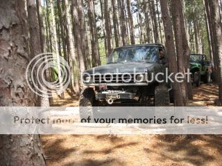 IMG_4084.jpg