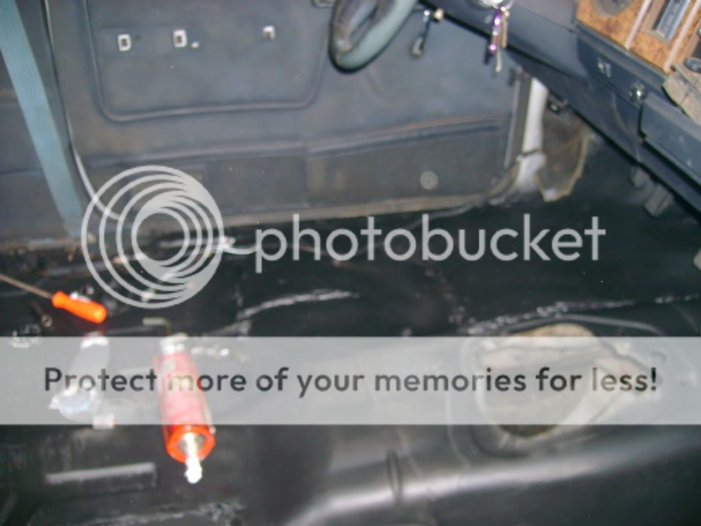 In like a lamb out like a lion!