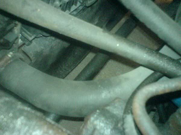LowerRadHose2.jpg