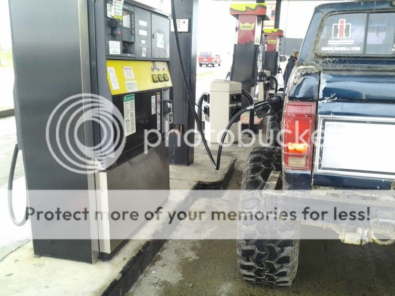 cell4-29-12057.jpg
