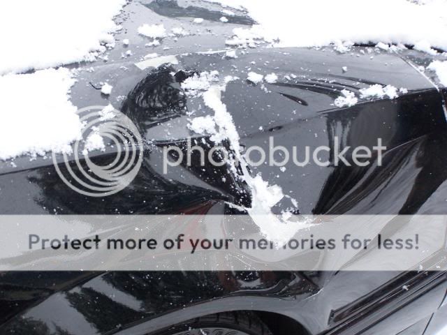 mustangsmash005.jpg