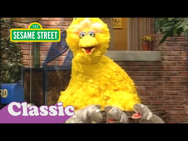 What animal did this on my ranger