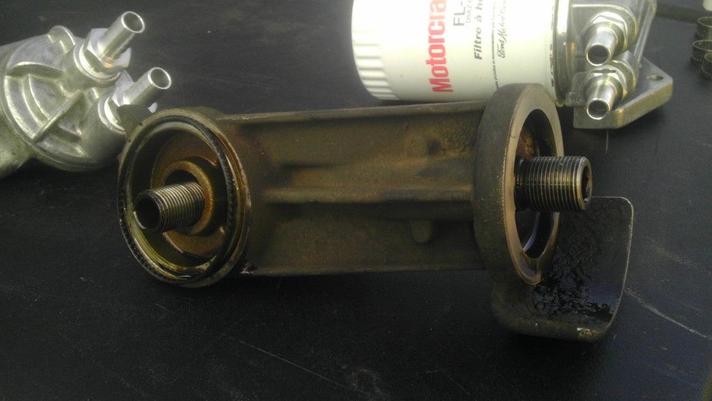 IMAG0599.jpg