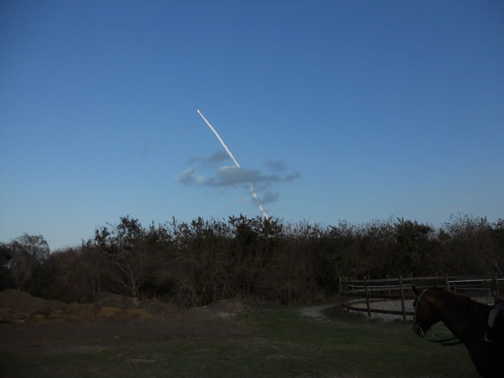 DSCN0311.jpg