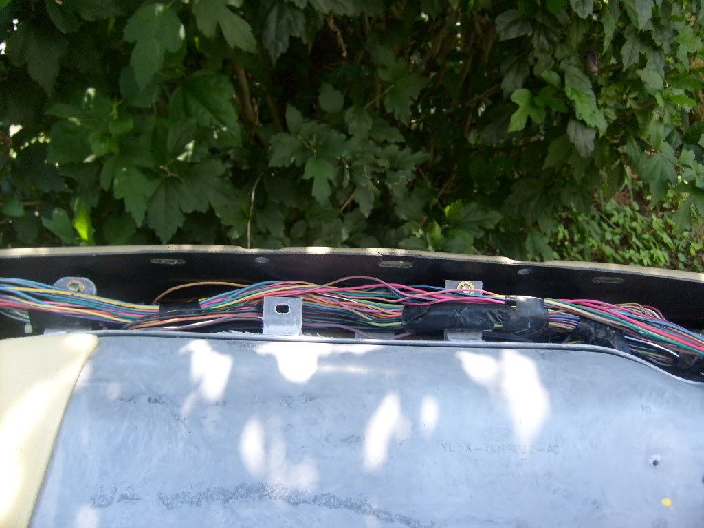 Picture009.jpg