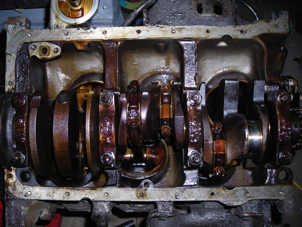 Bottomend.jpg