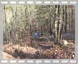 Show us what ur stock rbv is capable of