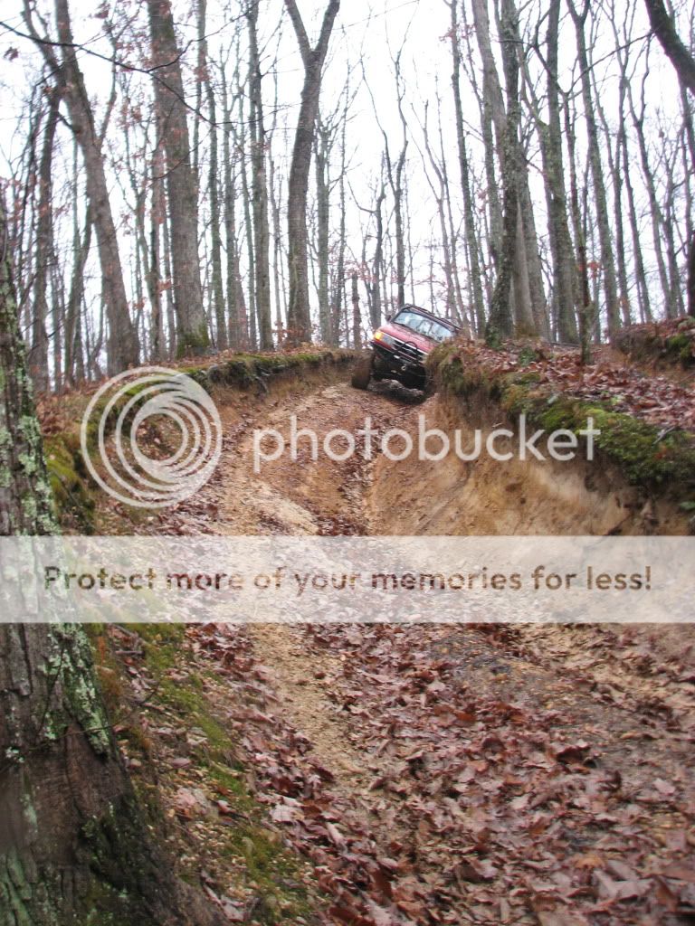 IMG_1977.jpg