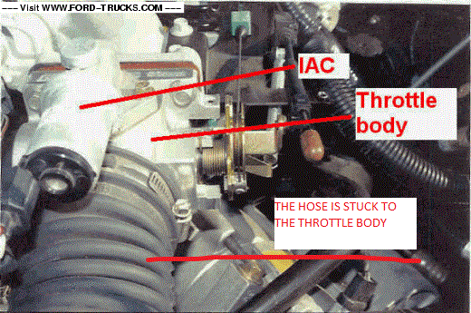 sizeimage.gif